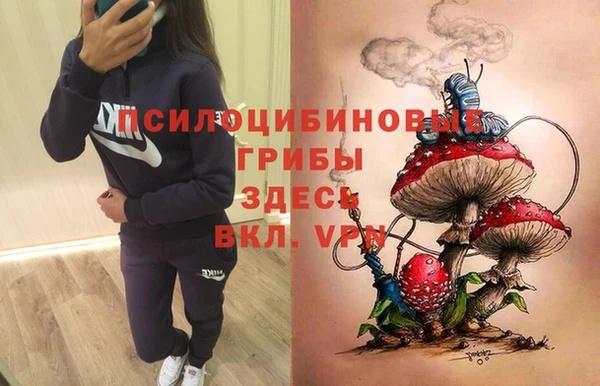 экстази Алексин