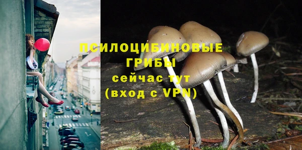 экстази Алексин