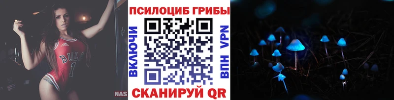 купить  цена  Далматово  Псилоцибиновые грибы мицелий 
